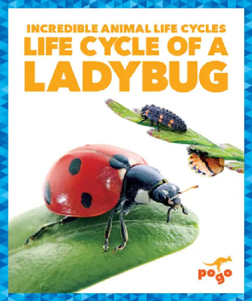 Life Cycle of a Ladybug by Karen Kenney