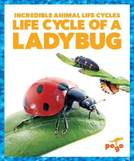 Life Cycle of a Ladybug by Karen Kenney