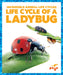 Life Cycle of a Ladybug by Karen Kenney