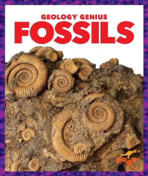 Fossils by Rebecca Pettiford