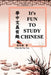 It's Fun to Study Chinese (Bilingual Edition): 學中文真有趣（ by Chia-Lin Pao