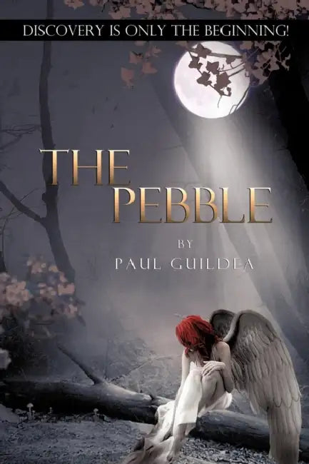 The Pebble by Paul Guildea