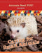 Caring for Small Animals by Rae Simons