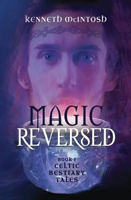 Magic Reversed: Celtic Bestiary Tales Book 1 by Kenneth McIntosh
