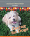 Caring for Dogs (Animals Need YOU!) by Rae Simons