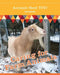 Caring for Farm Animals (Animals Need YOU!) by Rae Simons