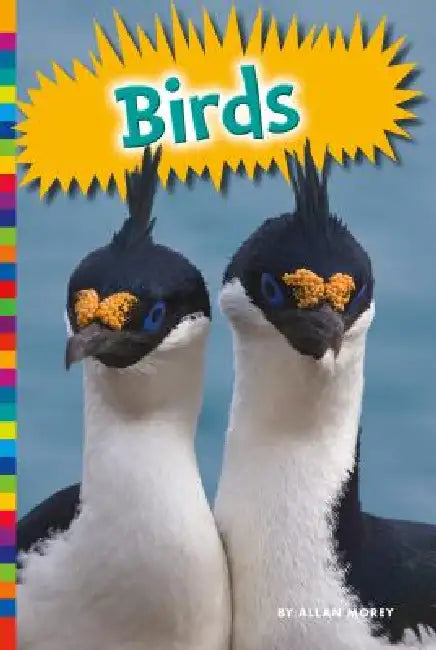 Birds by Allan Morey