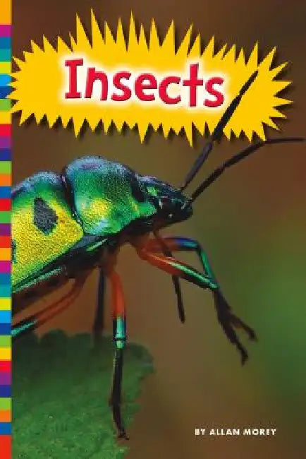 Insects by Allan Morey