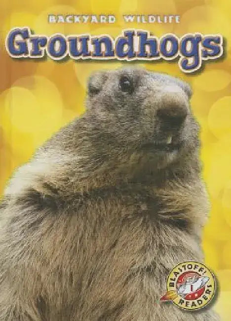 Groundhogs by Kari Schuetz