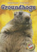 Groundhogs by Kari Schuetz