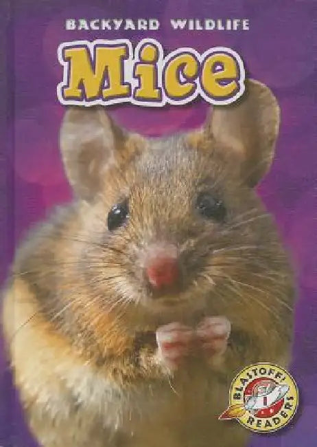 Mice by Kari Schuetz