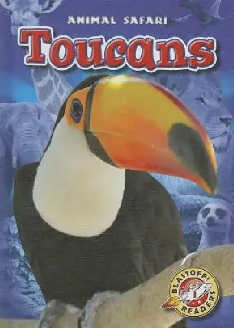 Toucans by Dana Fleming