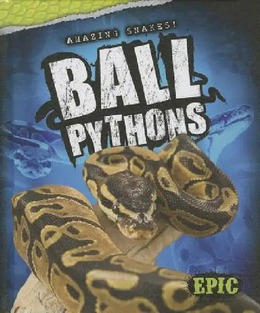 Ball Pythons by Davy Sweazey