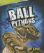 Ball Pythons by Davy Sweazey