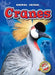 Cranes by Dana Fleming