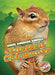 Eastern Chipmunks by Chris Bowman