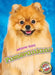 Pomeranians by Domini Brown