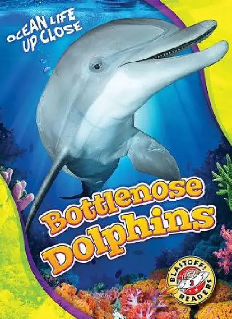 Bottlenose Dolphins by Kari Schuetz