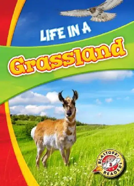 Life in a Grassland by Mandy Kaplan