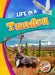 Life in a Tundra by Mandy Kaplan