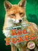 Red Foxes by Mandy Kaplan
