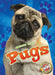Pugs by Kari Schuetz