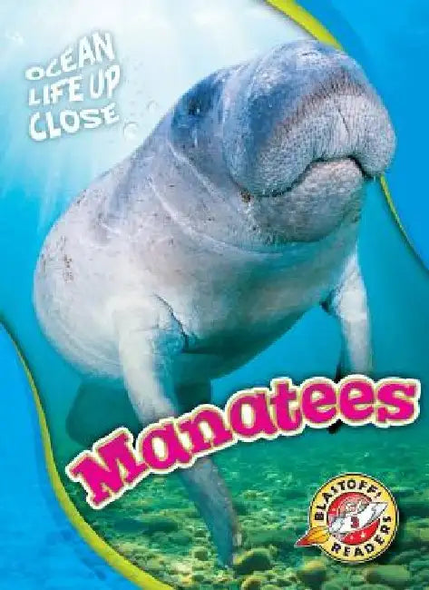 Manatees by Rebecca Pettiford