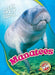 Manatees by Rebecca Pettiford