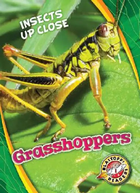 Grasshoppers by Patrick Perish