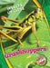 Grasshoppers by Patrick Perish