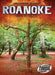 Roanoke: The Lost Colony by Kari Schuetz
