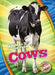 Cows by Kari Schuetz