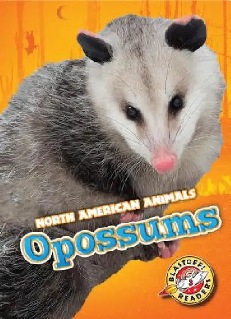 Opossums by Betsy Rathburn