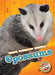 Opossums by Betsy Rathburn