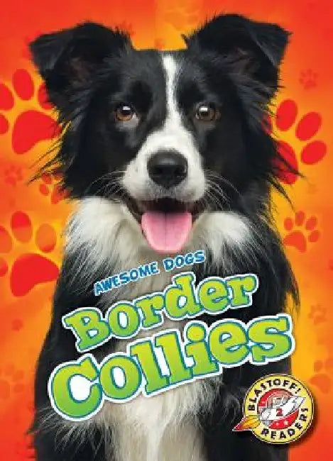 Border Collies by Rebecca Sabelko