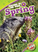 Spring by Rebecca Pettiford