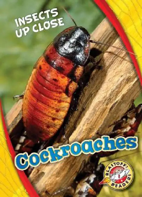 Cockroaches by Patrick Perish