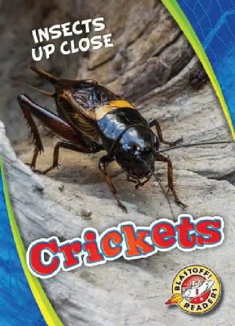 Crickets by Patrick Perish
