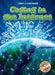 Coding in the Internet by Elizabeth Noll