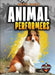 Animal Performers by Sara Green