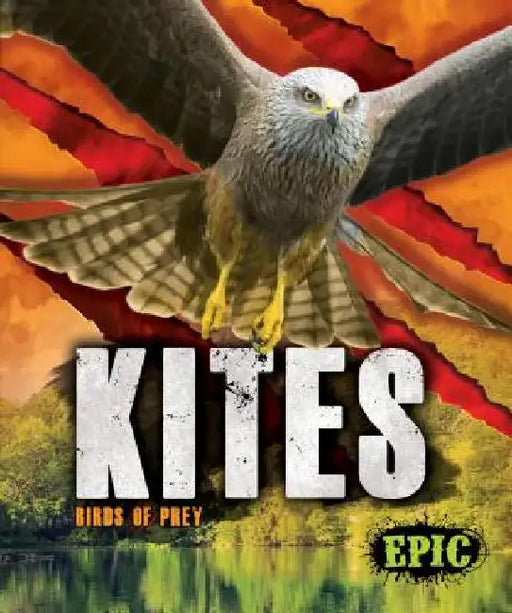 Kites by Nathan Sommer
