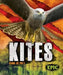 Kites by Nathan Sommer