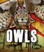 Owls by Nathan Sommer