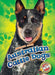 Australian Cattle Dogs by Lindsay Shaffer