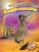 Roadrunners by Patrick Perish