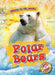 Polar Bears by Rebecca Pettiford