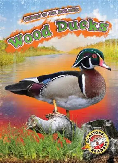 Wood Ducks by Rachel Grack