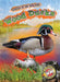 Wood Ducks by Rachel Grack