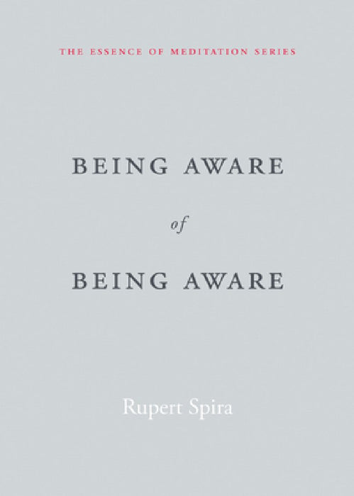Being Aware of Being Aware
