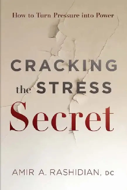 Cracking the Stress Secret: How to Turn Pressure Into Power by Amir A. Rashidian